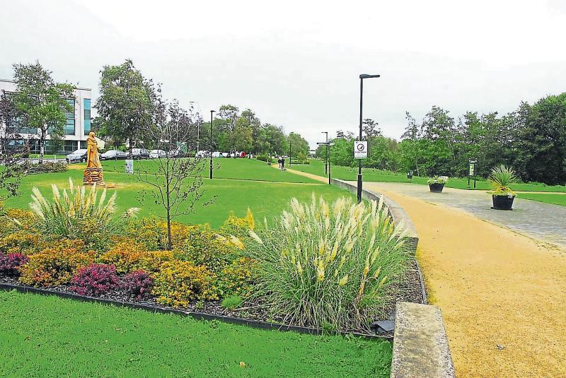 Reception for Tidy Towns members 