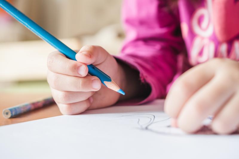 Number of Ukrainian students enrolled in Leitrim schools, revealed