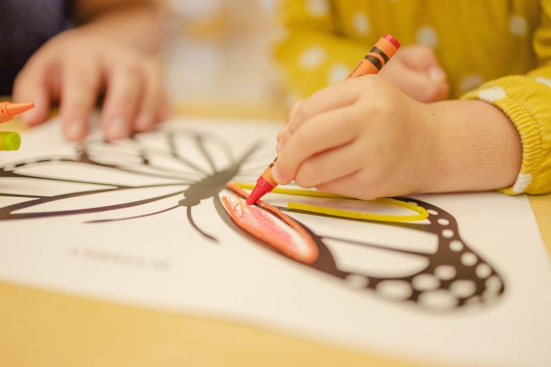 Leitrim School of Art promotes Summer Camp: A Creative Haven for KidsLeitrim School of Art promotes Summer Camp: A Creative Haven for Kids