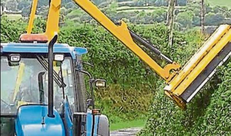 hedge cutting 