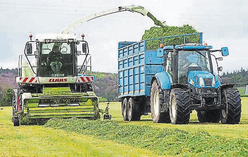 Contractor survey shows 15% drop in silage acreage