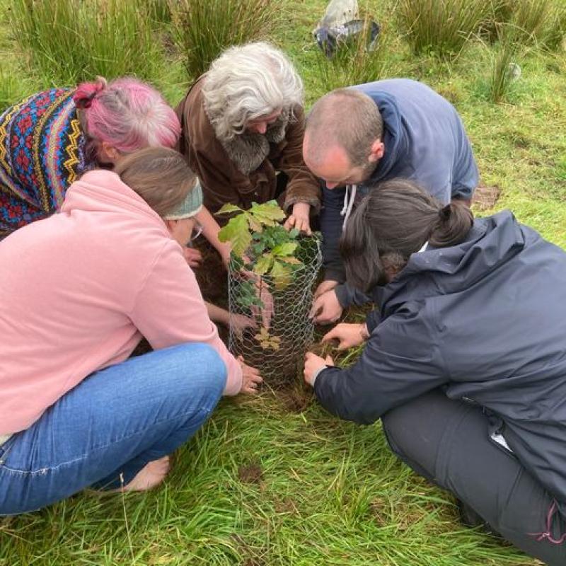 150 campaigners pull up Sitka spruce on Coillte plantation in Leitrim