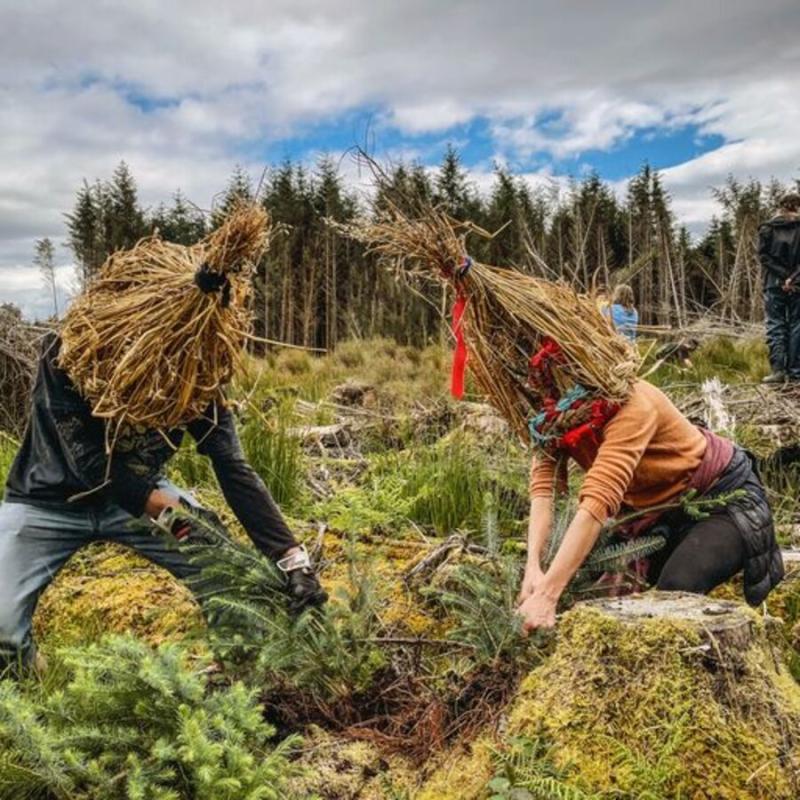 150 campaigners pull up Sitka spruce on Coillte plantation in Leitrim