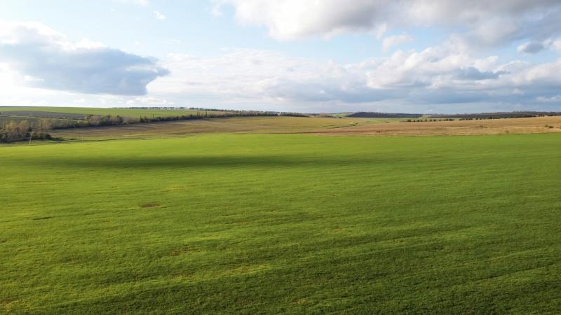 ACRES Tranche 2 to open in mid-October - IFA