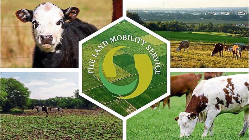 Land Mobility Service welcomes announcement of new Succession Planning Advice Grant Scheme