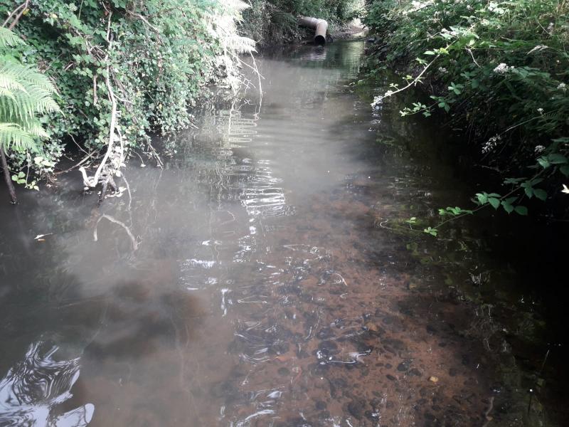 Uisce Éireann to pay over €7,000 for pollution incident