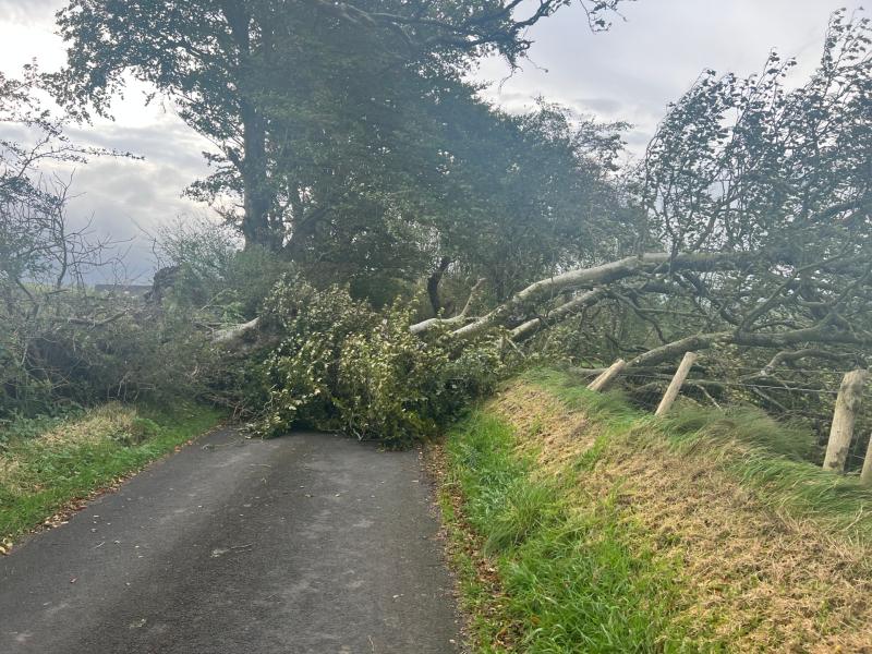STORM BABET: Fallen tree blocks road close to County Derry village