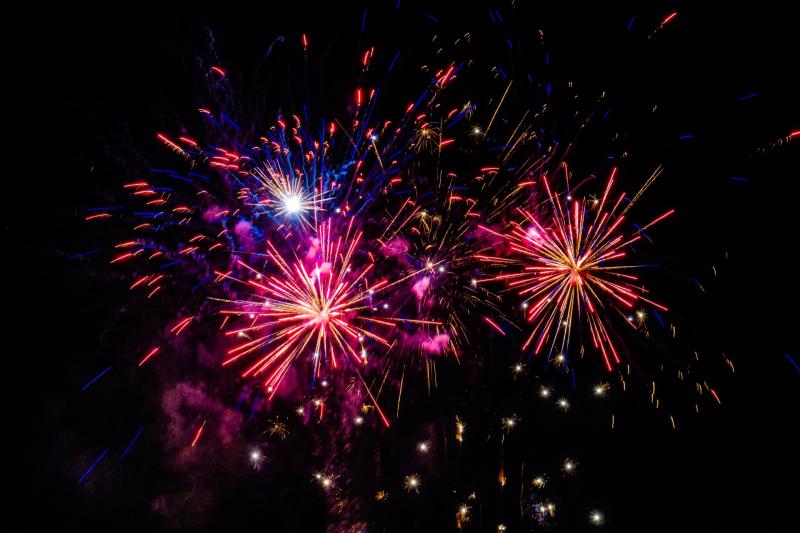 Advice for Pet Owners During Fireworks Season 2023