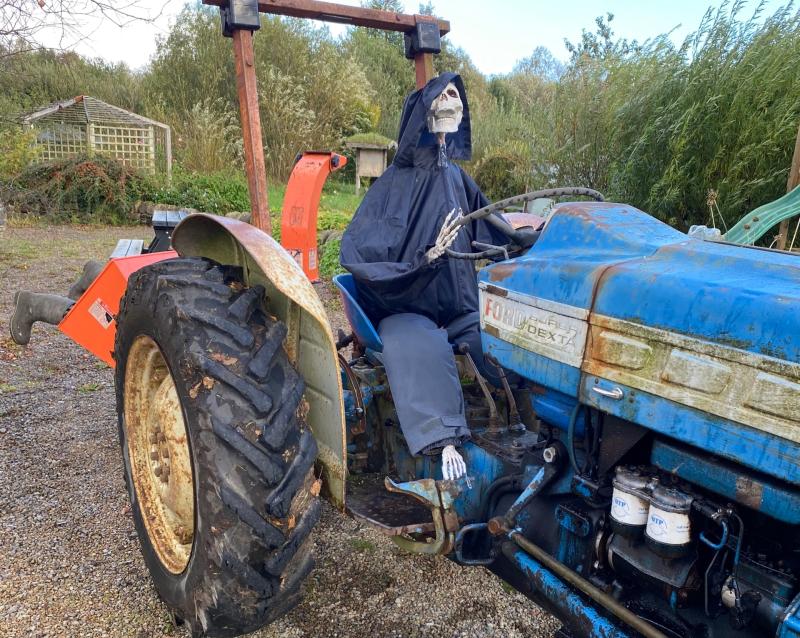 Spooky goings on for Samhain at The Organic Centre