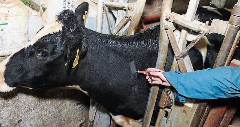 Farmer frustration growing with Department failures on TB – IFA