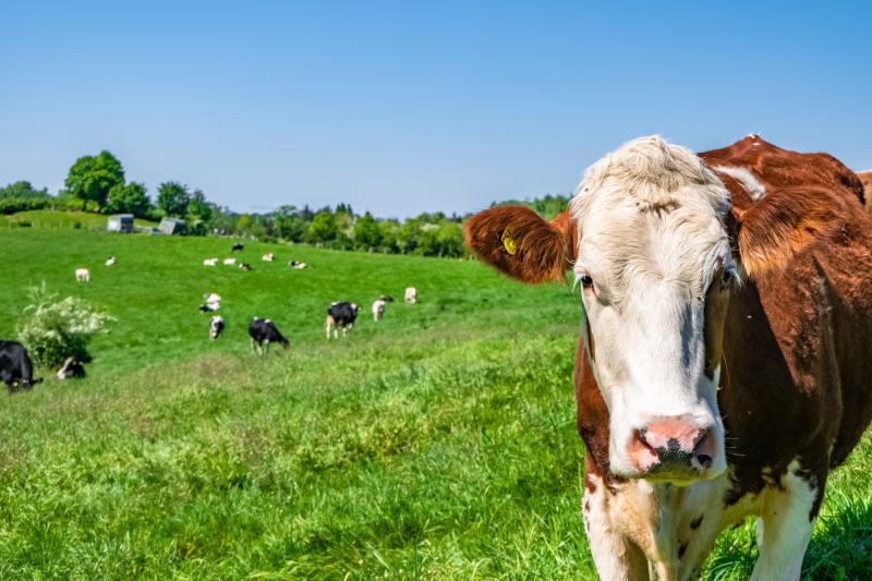 Expecting farmers to reduce stock by January 1 is totally unfair