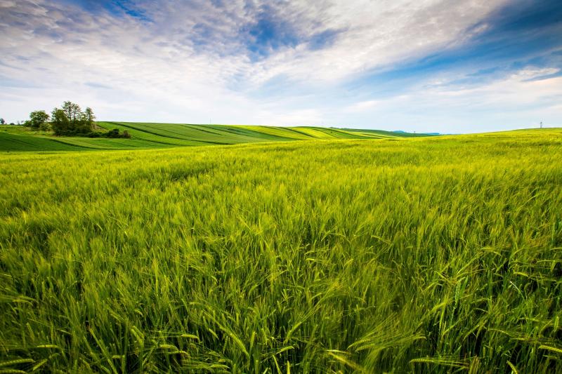 Local organics project receives major Government funding