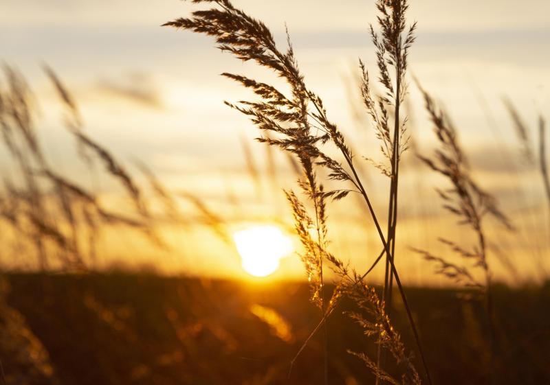 Met Éireann data reveals 2023 as the warmest year on record for Ireland’s