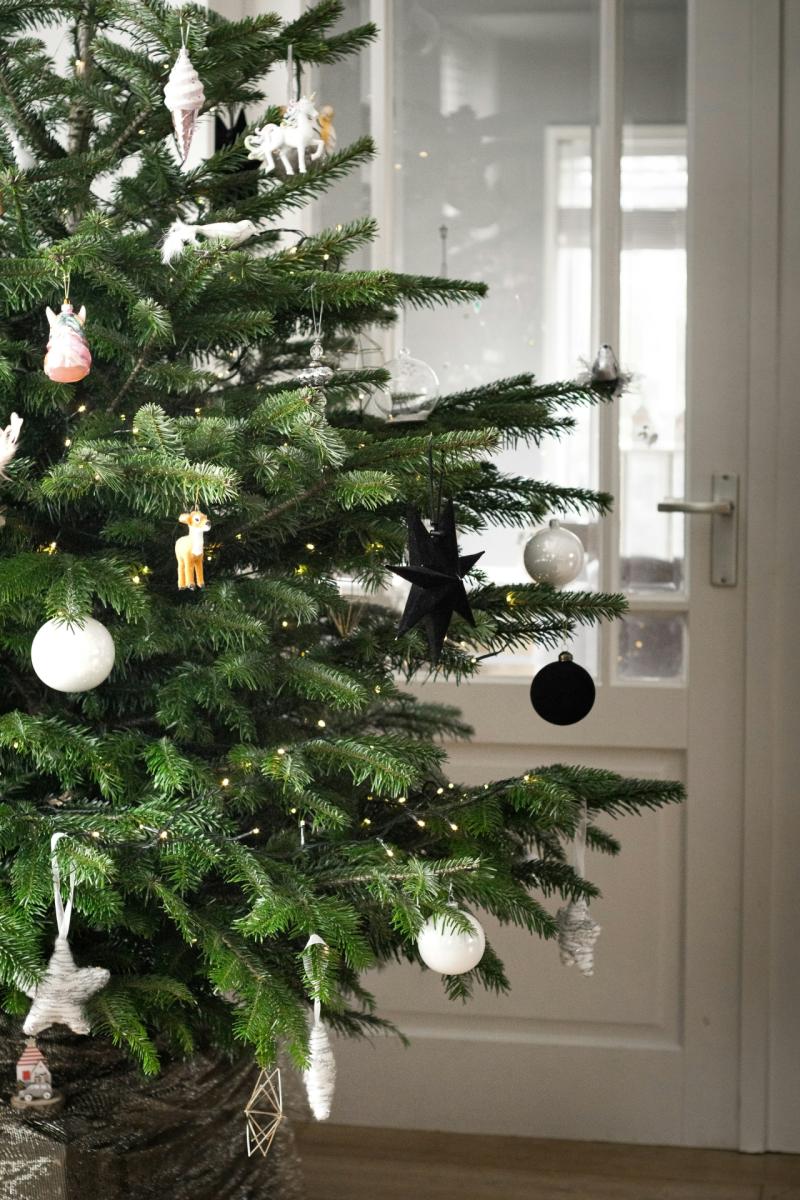 Christmas tree recycling available in Leitrim this January