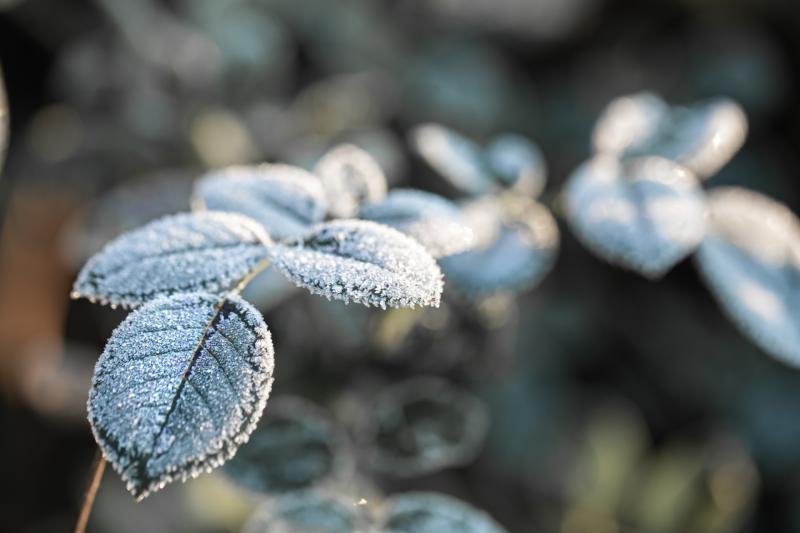 Frost and icy conditions to start with spells of crisp weather this Tuesday