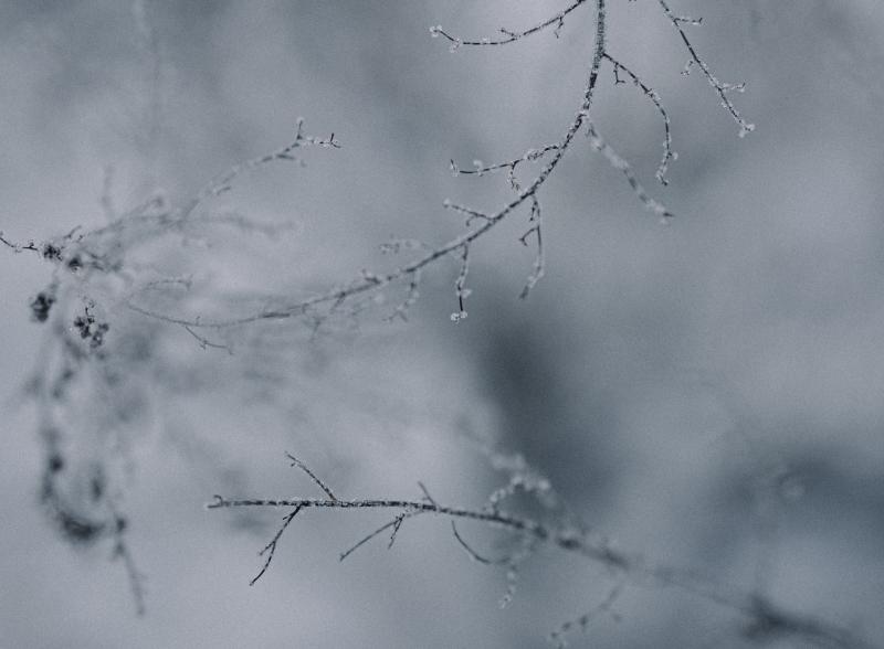 Freezing weather continues with frost, ice and fog expected this Thursday