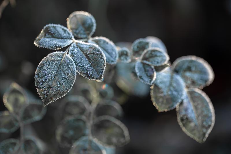 Cold with widespread frost and ice stretches continue in today&rsquo;s weather forecast