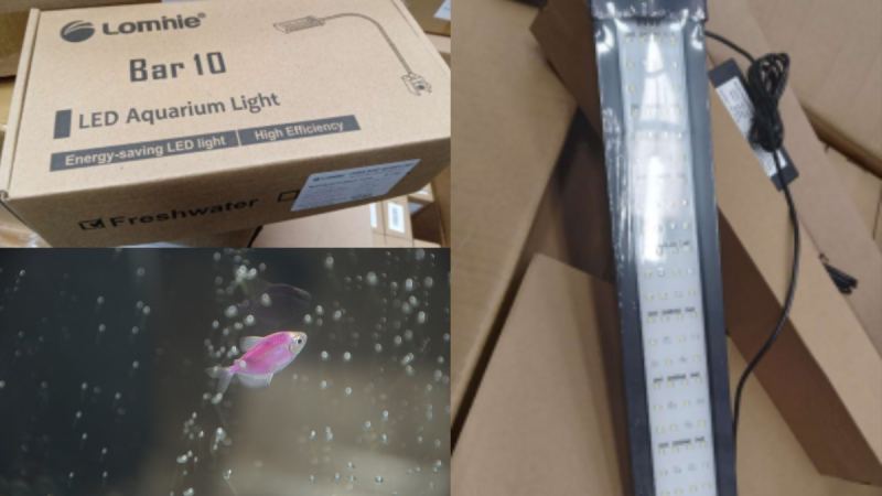 Risk of electrocution prompts 'immediate' recall of two popular fish aquarium products