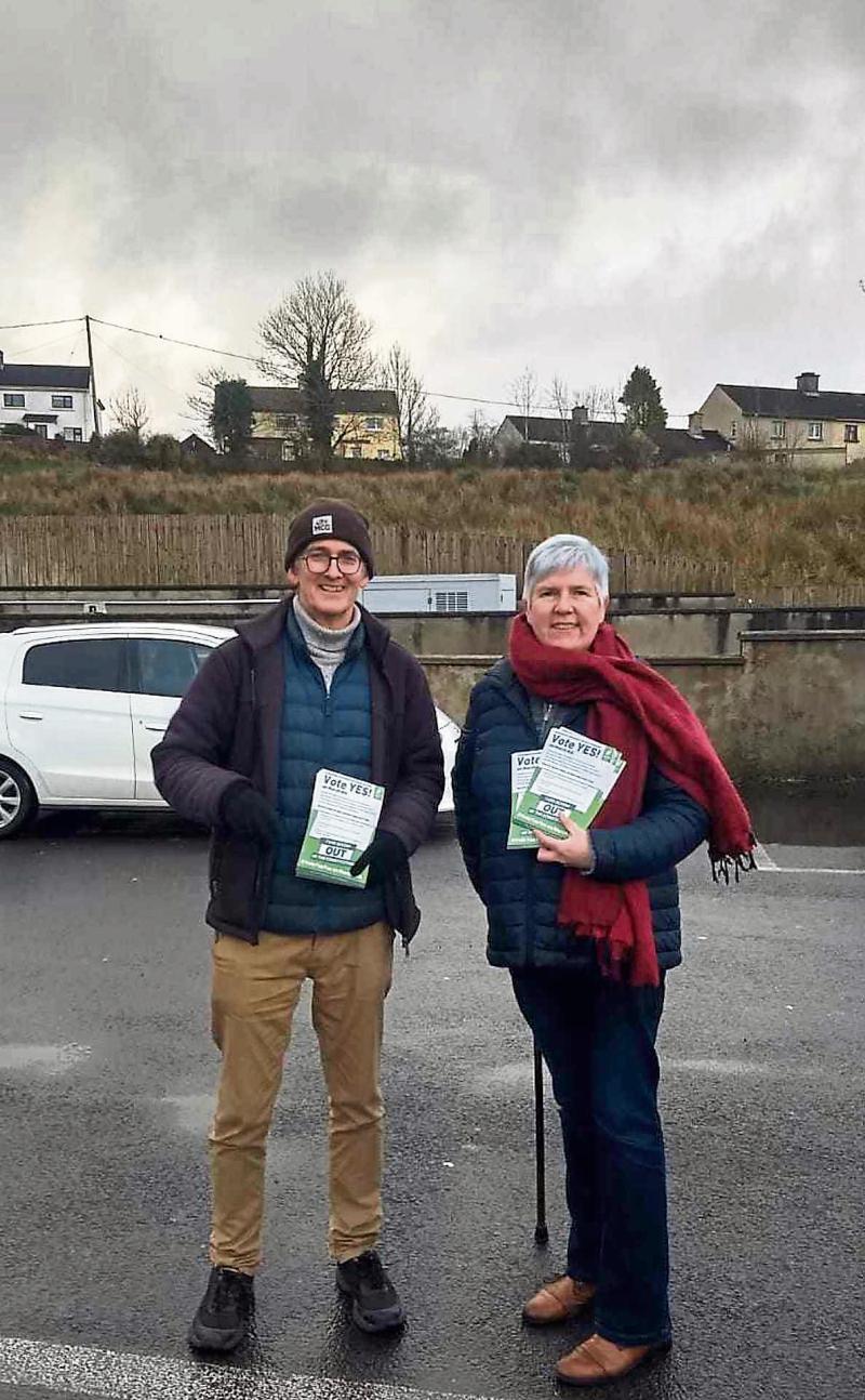 Green Party in Leitrim urging  Yes votes in referendum 