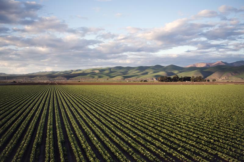Agriculture Appeals Review Panel must be fair and independent
