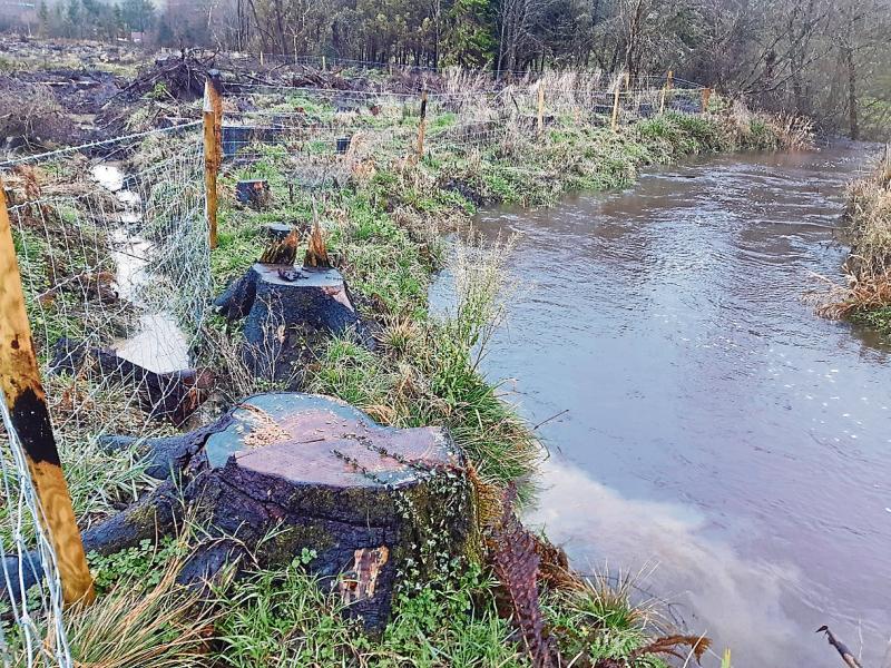 Forestry owner to pay €10,000 for polluting Glenfarne river 