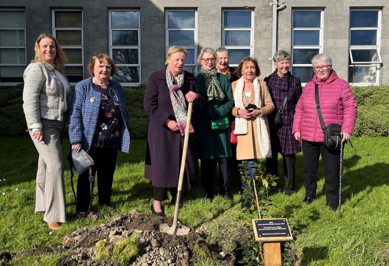 Sligo University Hospital’s Nursing Class of 1974 commemorated