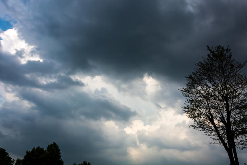 Blustery weather with a mix of sunny spells and showers is expected this weekend