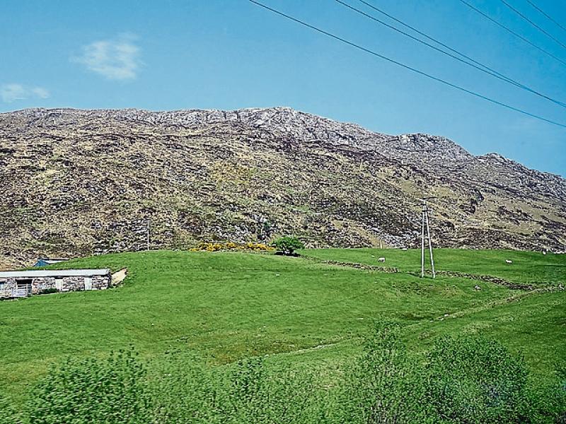 INHFA calls for upland farming module to form part of  Green Cert