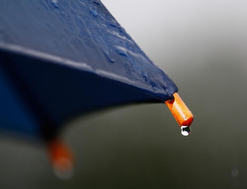 Met &Eacute;ireann data confirms March was one of the wettest on record
