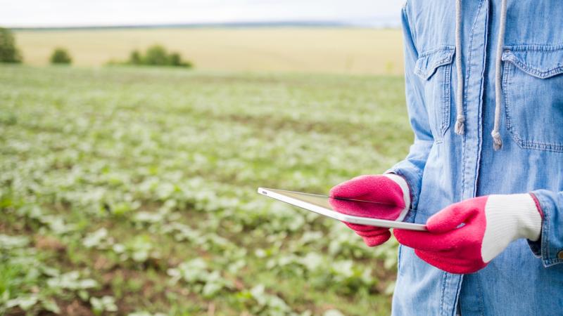 All non-essential inspections paused and Teagasc tasked with coordination of support to farmers under fodder pressure