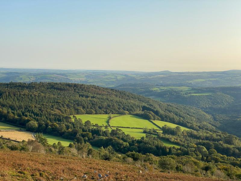 Government outlines plans to support Dartmoor farmers and environment