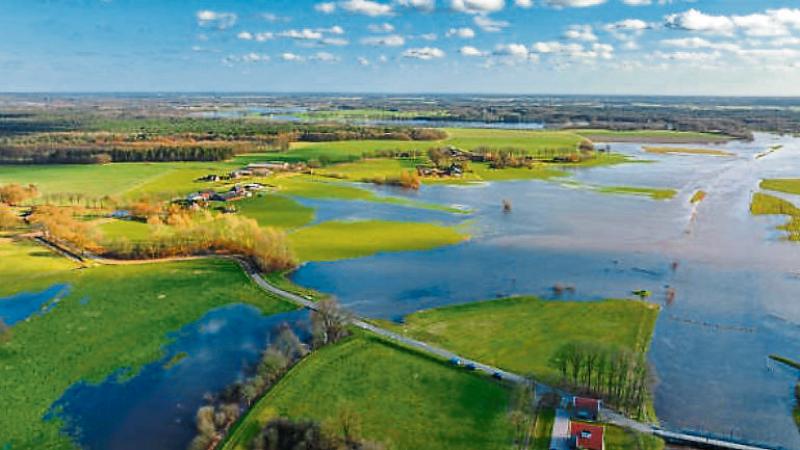 IFA Shannon and Flooding Project Team meets to set out priorities
