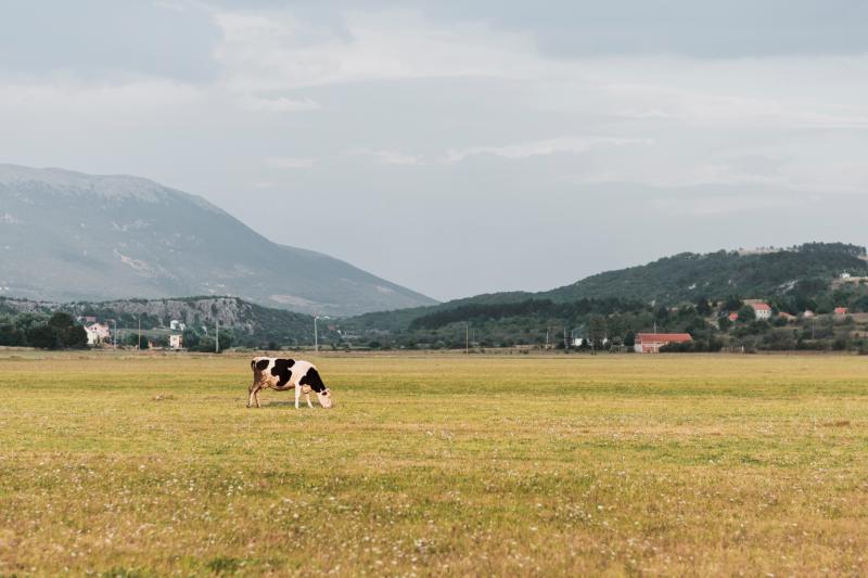 Extension of feed concentrate deadline