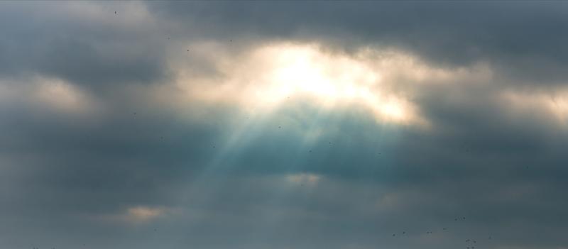 A cooler day with sunny spells and isolated showers this Thursday 