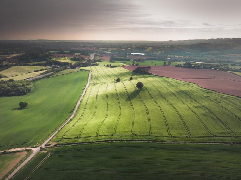 Fairer approach needed for access to Farm Assist & the Rural Social Scheme