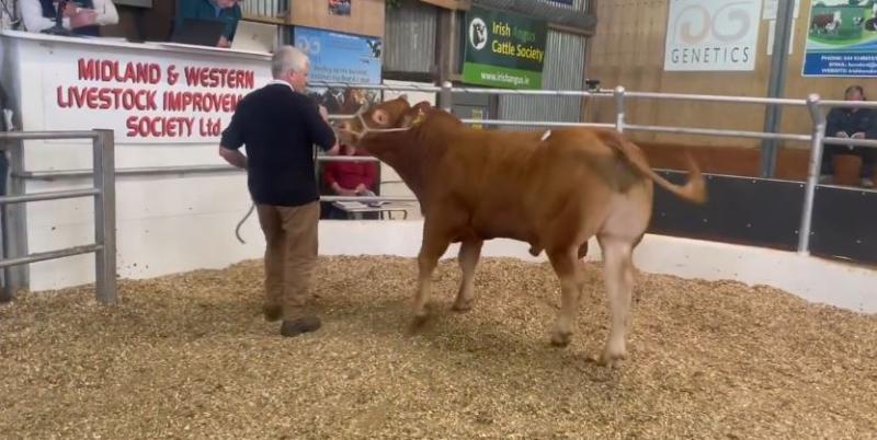 Leitrim candidate's day in the mart goes awry as results of election count looms