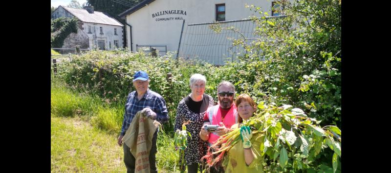 Leitrim Environmental Network Hosts Informative Event on Invasive Plants and Their Management