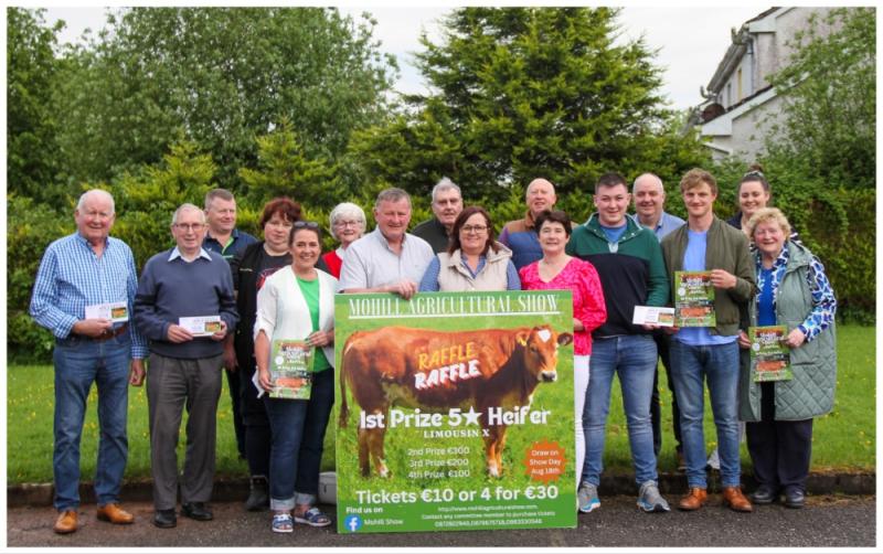 'If you’re not in you can’t win' - '5 star' Limousin heifer up for grabs in Mohill Show raffle