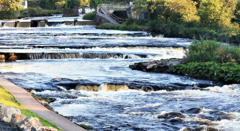 Inland Fisheries Ireland investigating deaths of 850 wild salmon in Co. Sligo