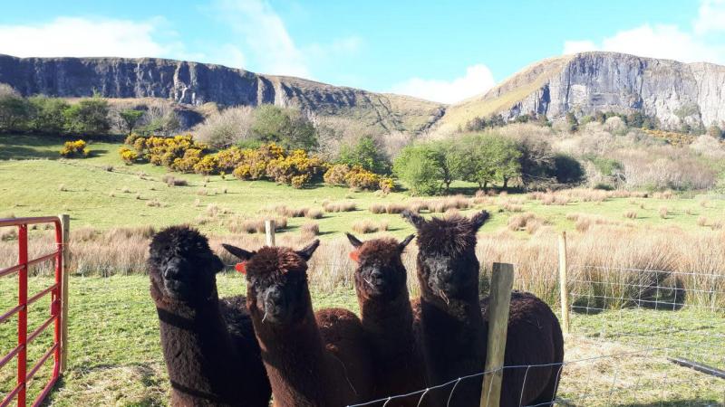 Leitrim to welcome first National Trail Conference