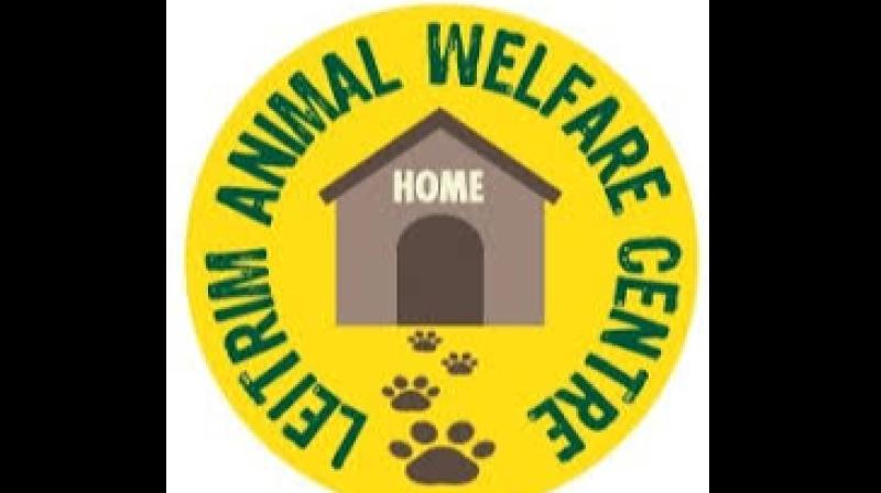 Support needed for Leitrim Animal Welfare to continue essential services
