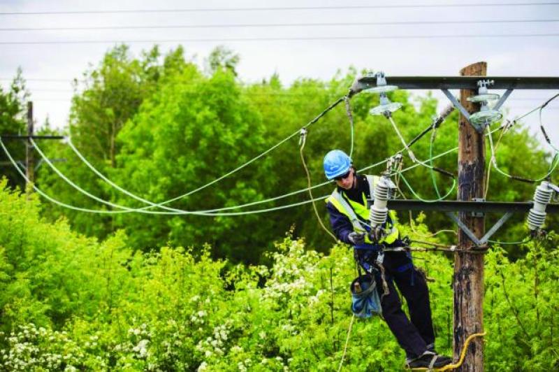 Councillors raise call for urgent inspection of poles in Leitrim