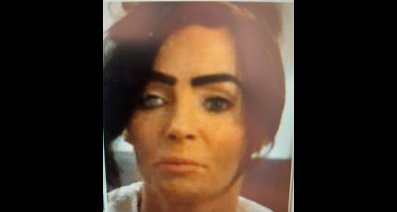 Garda&iacute; issue missing persons appeal with welfare concern for Dublin woman (31)