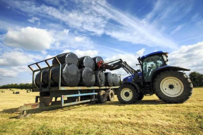 Leitrim Cllr welcomes Minister’s €5 million step towards Forgotten Farmers’ aid