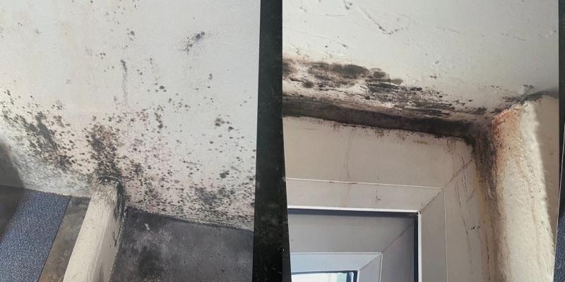 “A death sentence”: Leitrim councillor slams housing conditions in Mohill and Carrick-on-Shannon