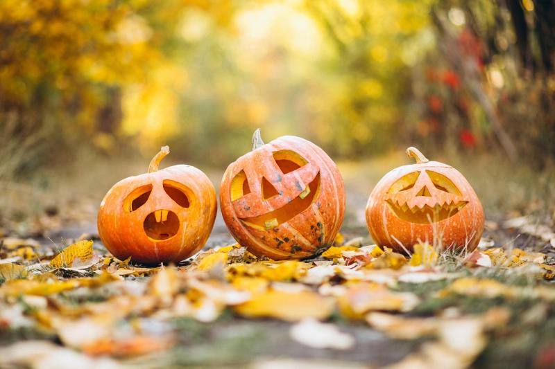 Spooky Halloween tales at Parke’s Castle