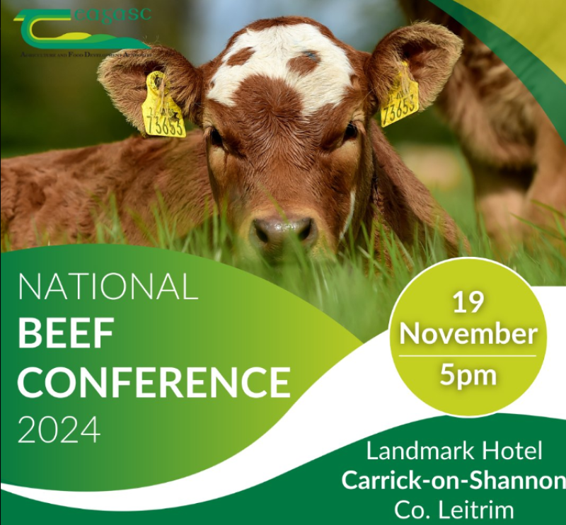 Leitrim to host national Beef conference in landmark hotel this November