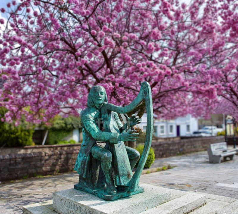 World III over Beloved Cherry Tree chopped down in Mohill