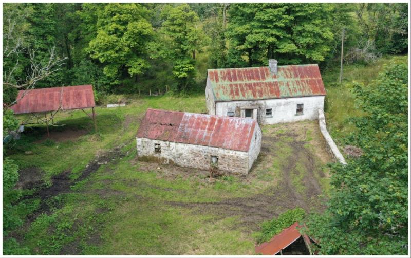 WATCH: Rustic Leitrim cottage on 1 acre with huge grant potential and low price
