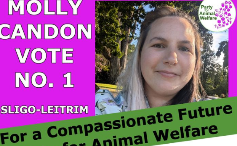 Party for Animal Welfare candidate Molly Candon joins the ticket in Sligo-Leitrim 